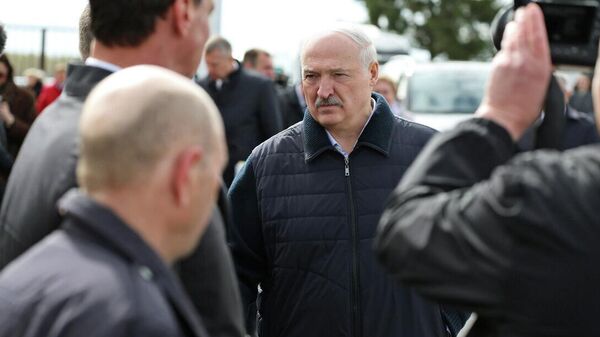 Рабочая камандзіроўка прэзідэнта ў Гомельскую вобласць - Sputnik Беларусь