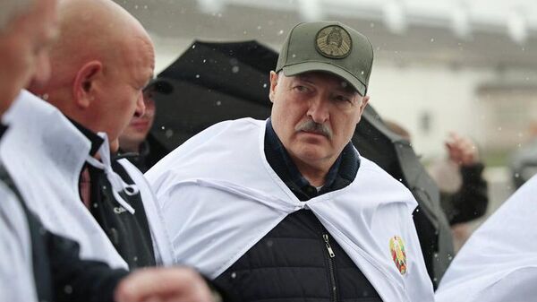 Александр Лукашенко во время посещения Агро-Лясковичи - Sputnik Беларусь