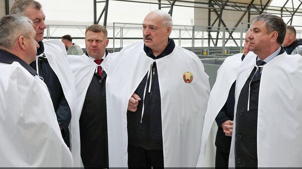 Посещение президентом МТК в Агро-Лясковичи - Sputnik Беларусь