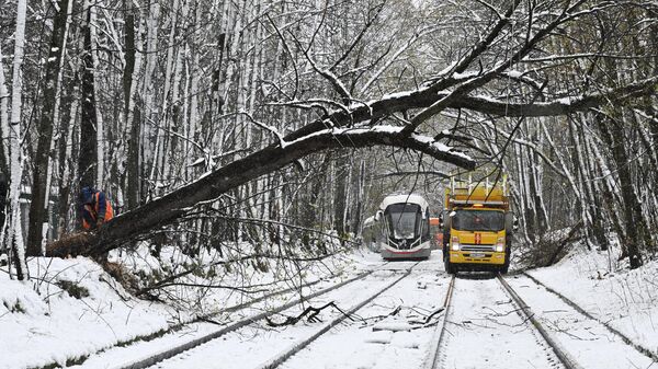 Беларусам рыхтавацца:column1 Маскву ў канцы красавіка накрыла снегападам – відэа - Sputnik Беларусь