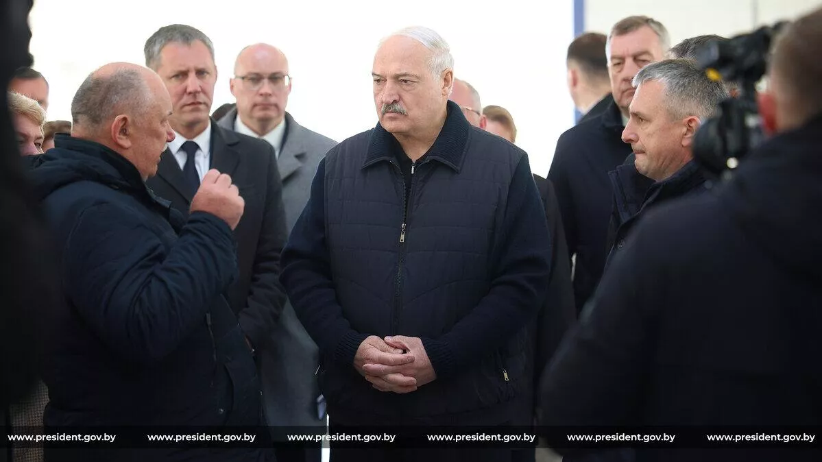 Лукашенко потребовал человеческого отношения к скотине