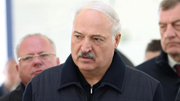 Рабочая паездка прэзідэнта Беларусі Аляксандра Лукашэнкі ў Нараўлянскі раён Гомельскай вобласці - Sputnik Беларусь