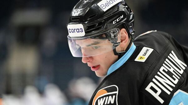 Виталий Пинчук - Sputnik Беларусь