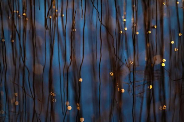 Номинация "Студия природы". Беате Освальд "Фрагменты света". Камыши и танцующее солнце мерцают в прохладных голубых водах озера Штарнберг в Германии. - Sputnik Беларусь