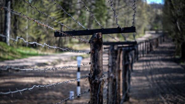 Першыя відэакадры абмену затрыманымі на мяжы Беларусі з Польшчай - Sputnik Беларусь