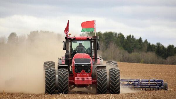 Экспериментальный трактор BELARUS-5425 - Sputnik Беларусь