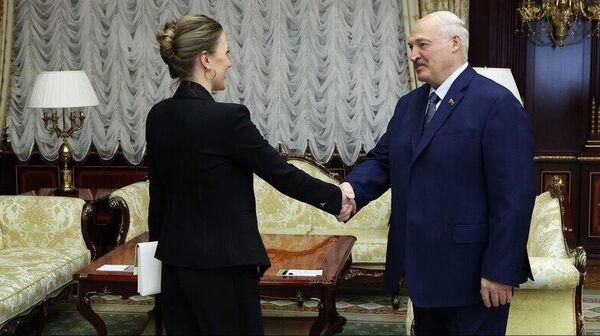 Сустрэча прэзідэнта Аляксандра Лукашэнкі з паслом Сербіі ў Беларусі Ілінай Вукайловіч - Sputnik Беларусь