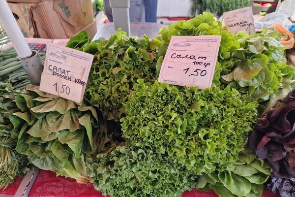 Буйство цвета и вкуса на майской Комаровке Буйство цвета и вкуса на майской Комаровке - Sputnik Беларусь
