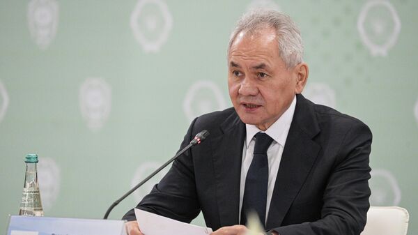 Секретарь Совета безопасности РФ Сергей Шойгу - Sputnik Беларусь