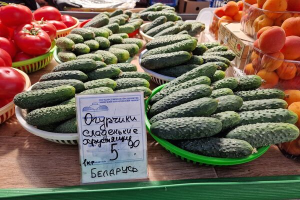Огурцы, томаты и редис на Комаровке Огурцы, томаты и редис на Комаровке - Sputnik Беларусь