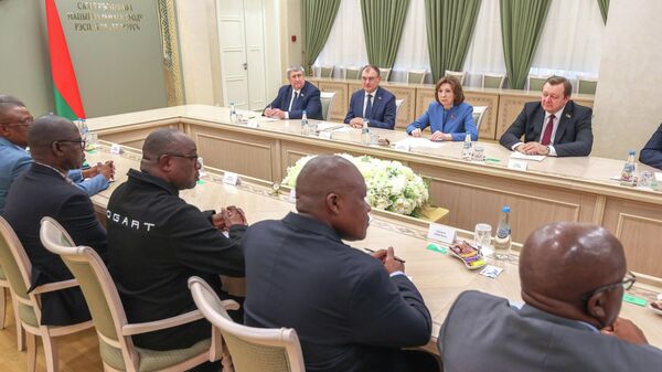 Встреча представителей Зимбабве с председателем Совета Республики Национального собрания Беларуси Натальей Кочановой - Sputnik Беларусь