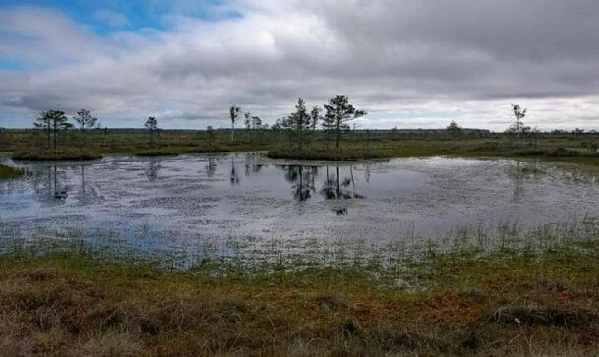 Болото Красное В каких озерах Беларуси, по легендам, водятся русалки