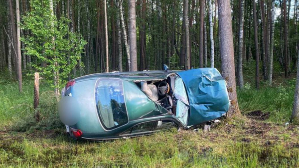 В Поставском районе в ДТП с диким животным пострадало два человека  - Sputnik Беларусь