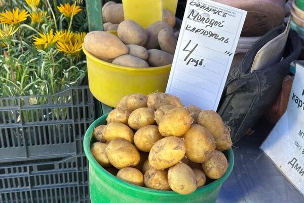 Цветочно и клубнично на Комаровке в июне Цветочно и клубнично на Комаровке в июне - Sputnik Беларусь