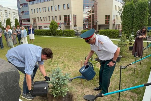 Участники автопробега Дорогами народных ополченцев посадили деревья в Минске - Sputnik Беларусь