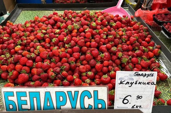 Комаровский рынок Комаровский рынок - Sputnik Беларусь