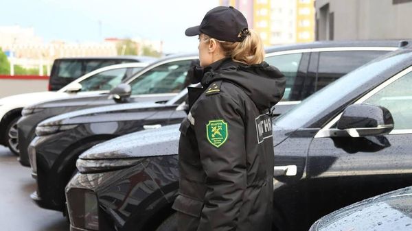 Выявлена преступная схема ввоза и продажи автомобилей премиум-класса - Sputnik Беларусь
