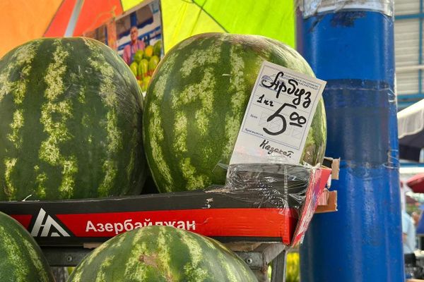 Ягодный бум на Комаровке  - Sputnik Беларусь