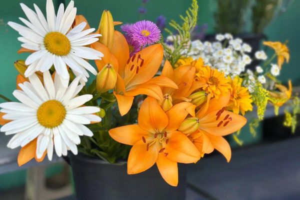 Июльская Комаровка - Sputnik Беларусь