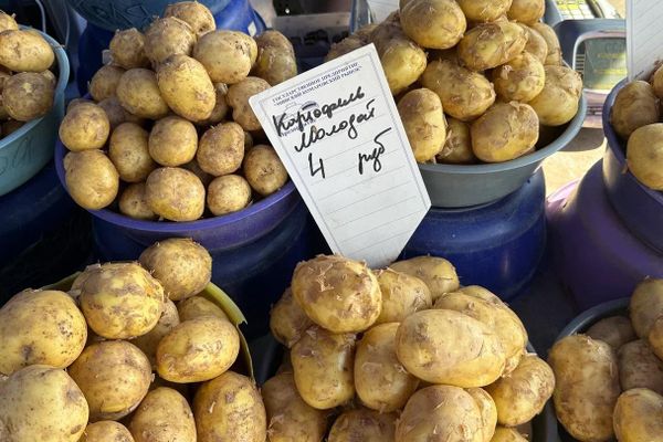 Июльская Комаровка - Sputnik Беларусь