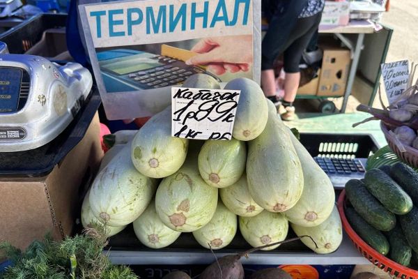 Июльская Комаровка - Sputnik Беларусь