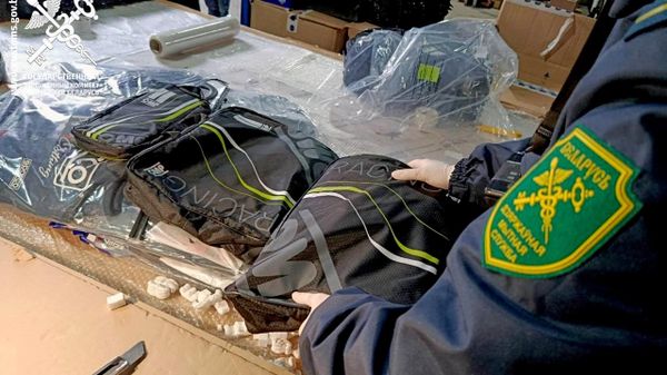 Гоночные аксессуары, которые пытались незаконно ввезти в Беларусь из Польши - Sputnik Беларусь