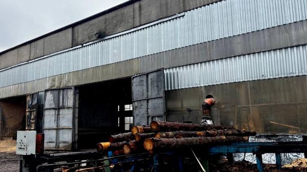Деревообрабатывающее предприятие в Круглом, где произошел трагический случай - Sputnik Беларусь