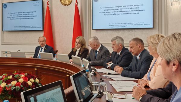 Заседание Совета Палаты представителей - Sputnik Беларусь