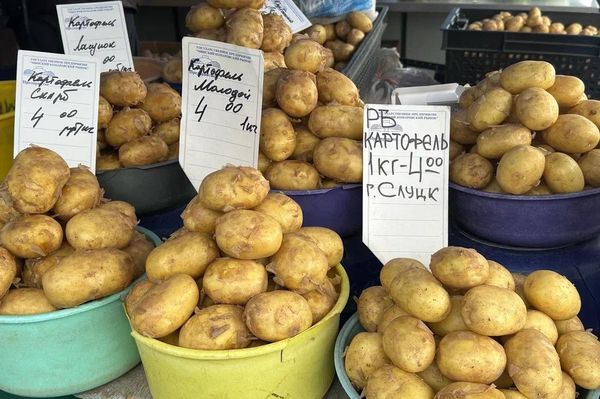 Ягодный ценопад на Комаровке в середине июля Ягодный ценопад на Комаровке в середине июля - Sputnik Беларусь