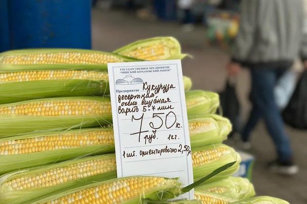 Ягодный ценопад на Комаровке в середине июля Ягодный ценопад на Комаровке в середине июля - Sputnik Беларусь