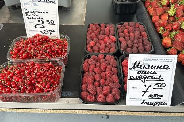 Ягодный ценопад на Комаровке в середине июля Ягодный ценопад на Комаровке в середине июля - Sputnik Беларусь