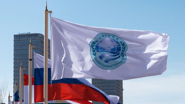 Флаг ШАС - Sputnik Беларусь