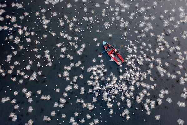 Победитель конкурса The 2nd International Aerial Photographer of the Year 2026 — снимок "Скольжение сквозь безмятежность", автор — бангладешский фотограф Азим Хан Ронни.