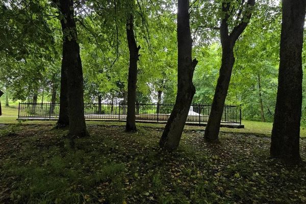 На месте расстрела евреев в деревне Лебедево сейчас растет густой лес