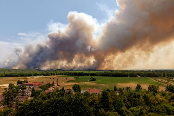 Дым, поднимающийся от лесного пожара в районе Фонтенбло под Парижем, Франция - Sputnik Беларусь