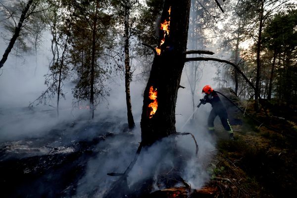 Пожарный тушит пламя в лесу Фонтенбло во время лесных пожаров в Нуази-сюр-Эколь, недалеко от Парижа, Франция - Sputnik Беларусь