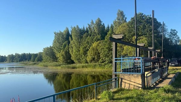 Дамба на реке Березовка, где утонул 11-летний мальчик - Sputnik Беларусь