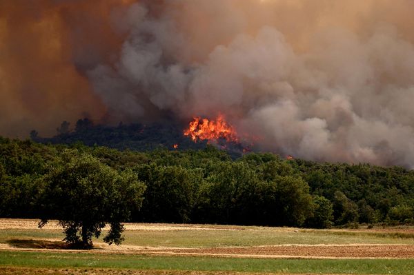Вид на лесной пожар в лесу Фокс-Амфу в регионе Прованс на юго-востоке во Франции - Sputnik Беларусь