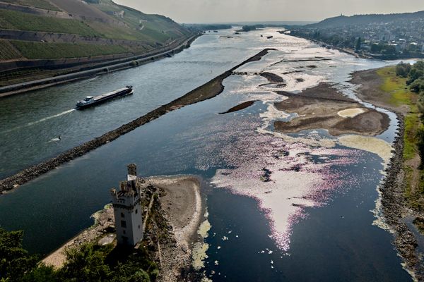 Часть реки Рейн пересохла в результате жаркой погоды в Бингене в Германии - Sputnik Беларусь