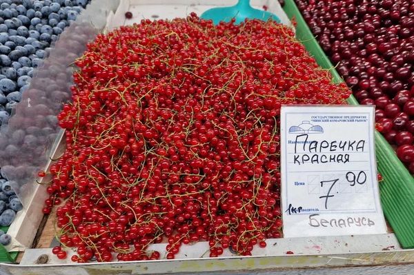 Комаровка, конец июля - Sputnik Беларусь