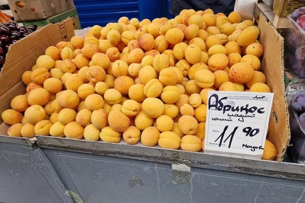 Комаровка, конец июля - Sputnik Беларусь