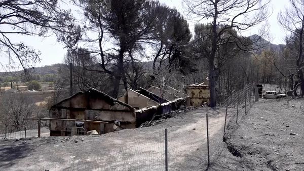 Ад на Лазурном берегу: лесной пожар угрожает историческому центру Прованса - Sputnik Беларусь