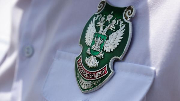 Жетон сотрудника Россельхознадзора - Sputnik Беларусь