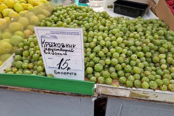 Комаровка, конец июля Комаровка, конец июля - Sputnik Беларусь