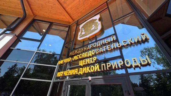 Международный научно-исследовательский центр изучения дикой природы - Sputnik Беларусь