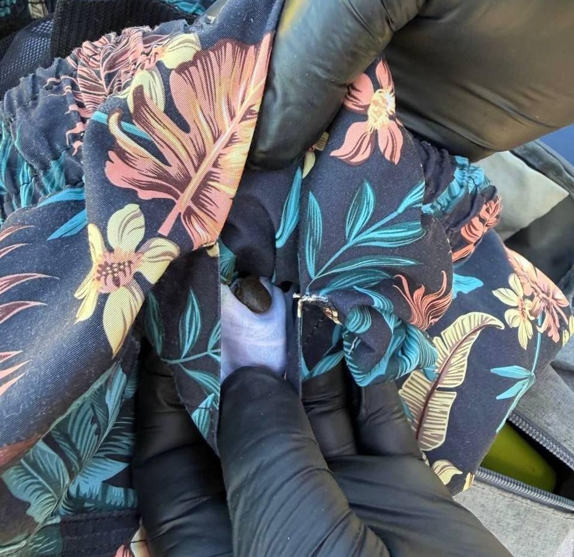 Таможенный контроль - Sputnik Беларусь, 1920, 05.08.2026