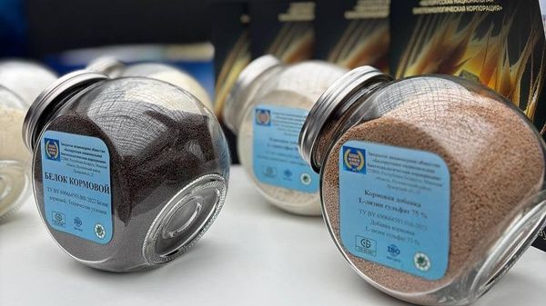Образцы продукции БНБК на выставке - Sputnik Беларусь