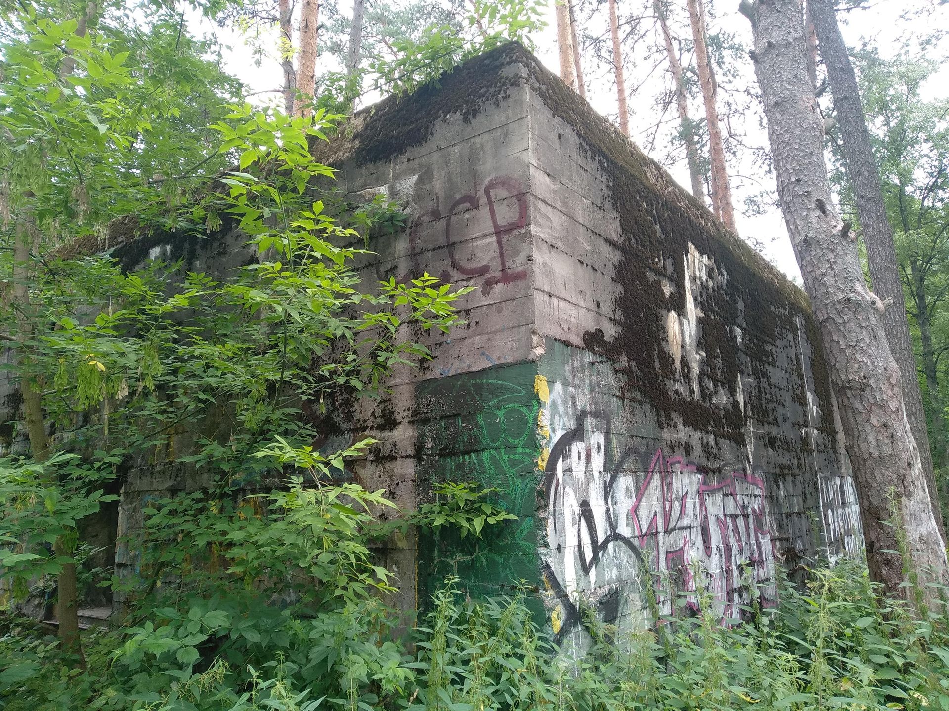 Элемент немецкого комплекса Bärenhöhle – ставки группы армий Центр. - Sputnik Беларусь, 1920, 07.08.2026