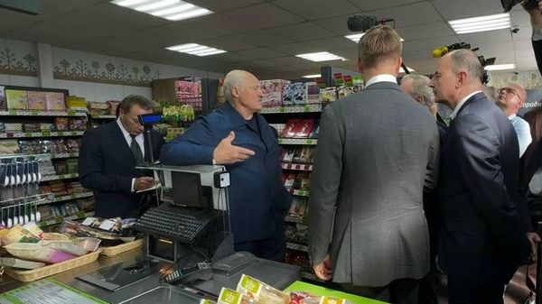 Президент Беларуси Александр Лукашенко в Вилейском районе Президент Беларуси Александр Лукашенко в Вилейском районе - Sputnik Беларусь