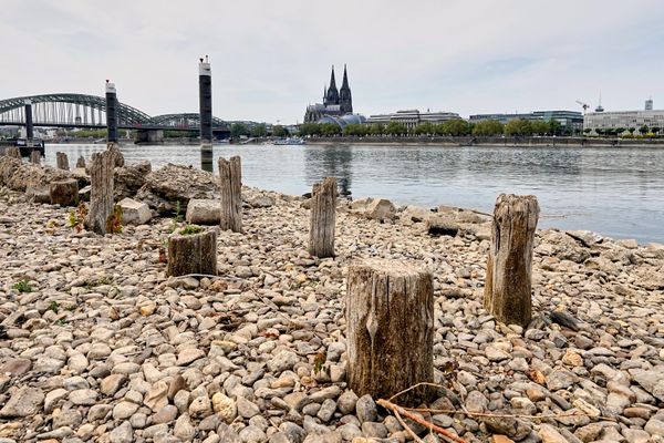 Остатки моста Паттон, построенного после Второй мировой войны, появились на поверхности, когда уровень воды в Рейне упал до исторического минимума в условиях жары и продолжительной засухи, напротив Кёльнского собора в Кёльне вГермании.
